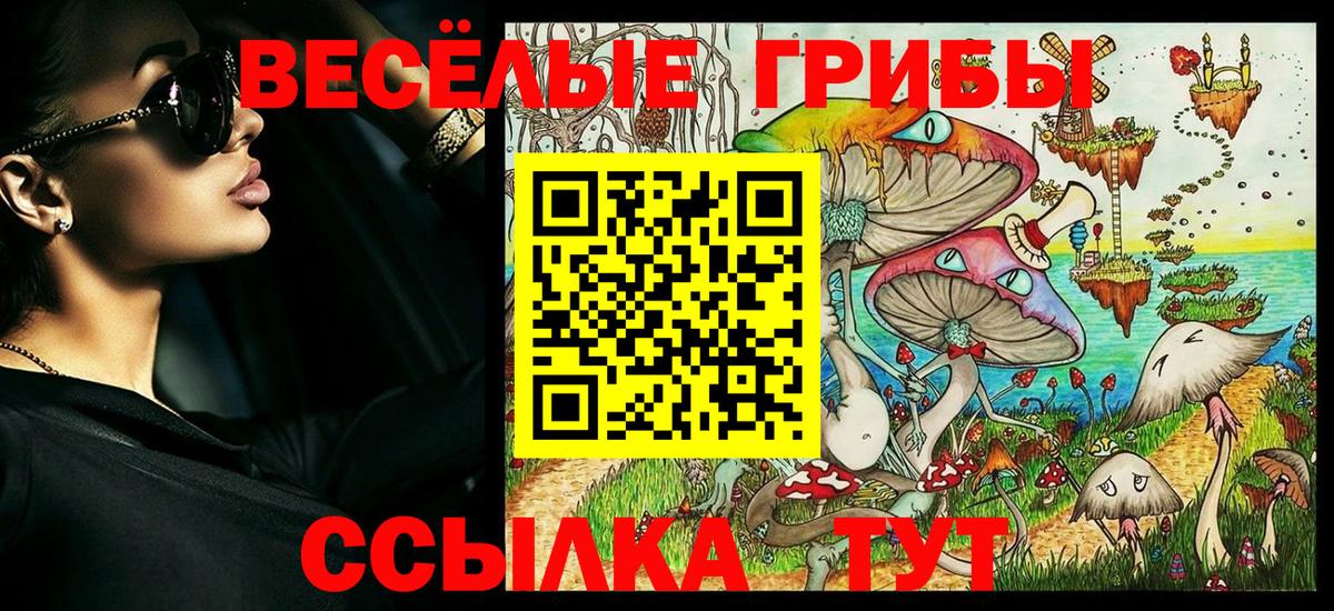 Красногорск  Псилоцибиновые грибы мицелий  Вход с VPN 