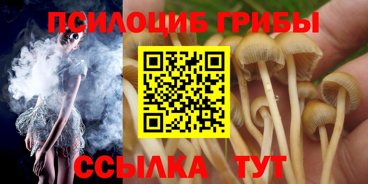 Псилоцибиновые грибы мицелий Красногорск